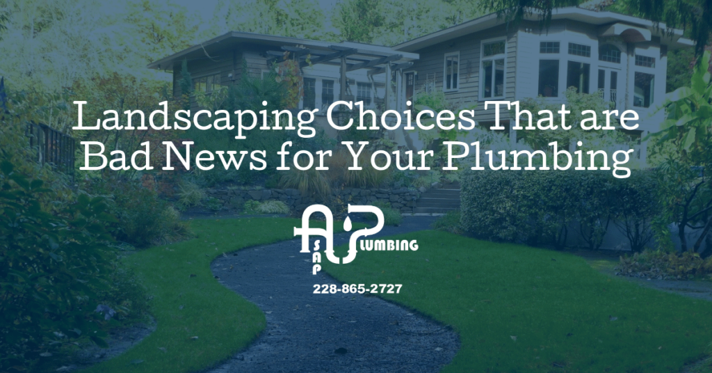 Landscaping Choices That are Bad News for Your Plumbing