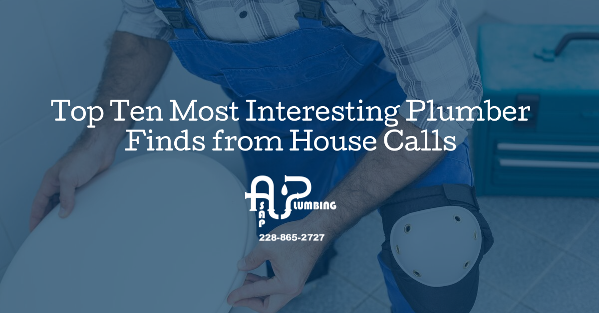 Top 10 Most Interesting Plumber Finds from House Calls